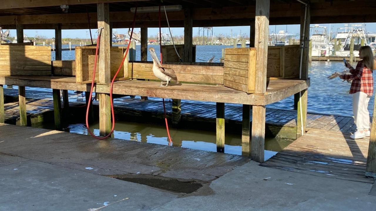 Resort Lodging At Venice Marina W/ Wifi + Private Dock Exterior foto